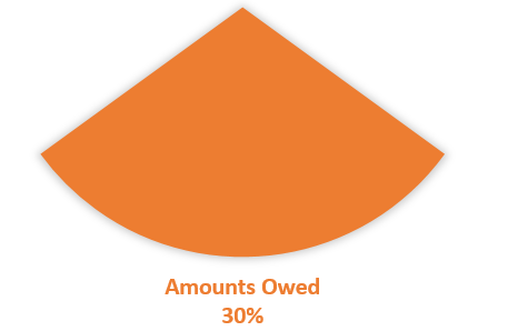 The Amounts Owed Component to the Credit Score Pie Chart