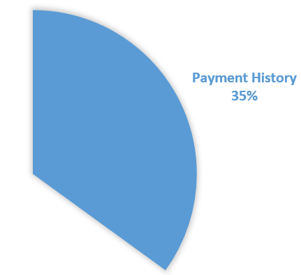 Payment Component of the credit score pie chart