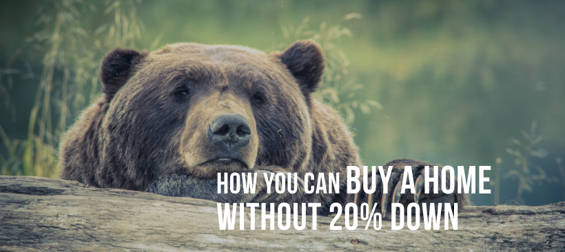 Title photo, Bear thinking of how you can buy a home without 20% down payment